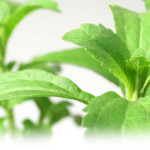 Stevia, used for over 1500 years, is 100x sweeter than sugar with no calories!