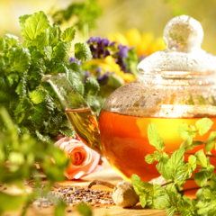 Delicious warming herbal tea in pot