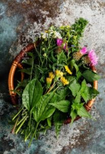 Relief for menopause with herbs 