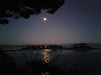 Full moon in Nelson